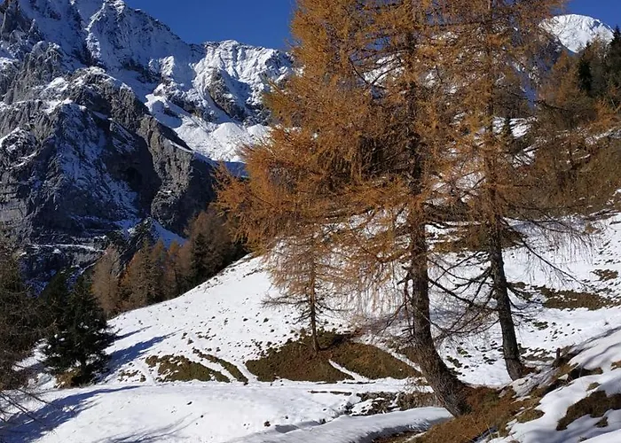 Διαμέρισμα Tra Civetta E Pelmo *
